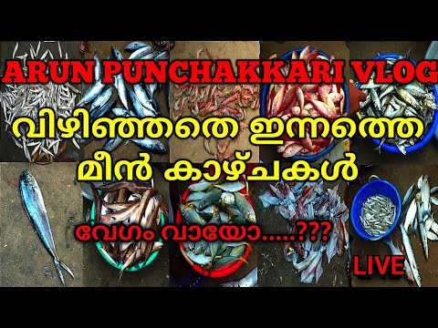 ARUN PUNCHAKKARI VLOG is live - YouTube