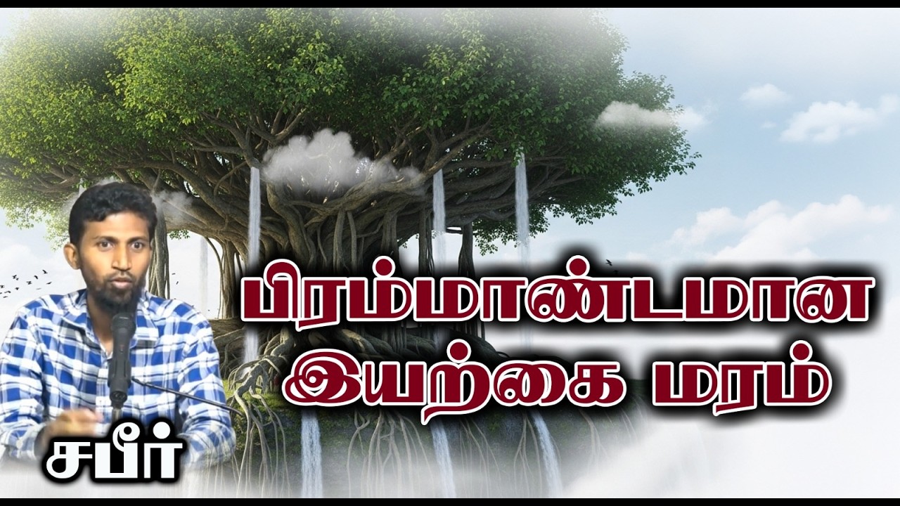 பிரம்மாண்டமான இயற்கை மரம்┇சபீர்┇29-03-26┇Way to Paradise