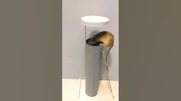 Best mousetrap at home - creative mouse trap from pvc pipe #shorts #mousetrap #rattrap #mouse #rat
