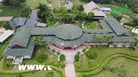 Cùng chè hữu cơ tham quan không gian văn hóa trà thái nguyên