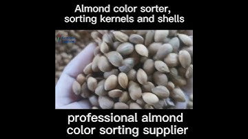 2 chutes color sorter almond color separator processing machine