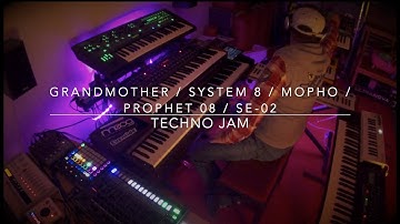 Grandmother / System 8 / Prophet 08 / SE-02 "Techno Jam"  #moog #roland #davesmith #techno #novation