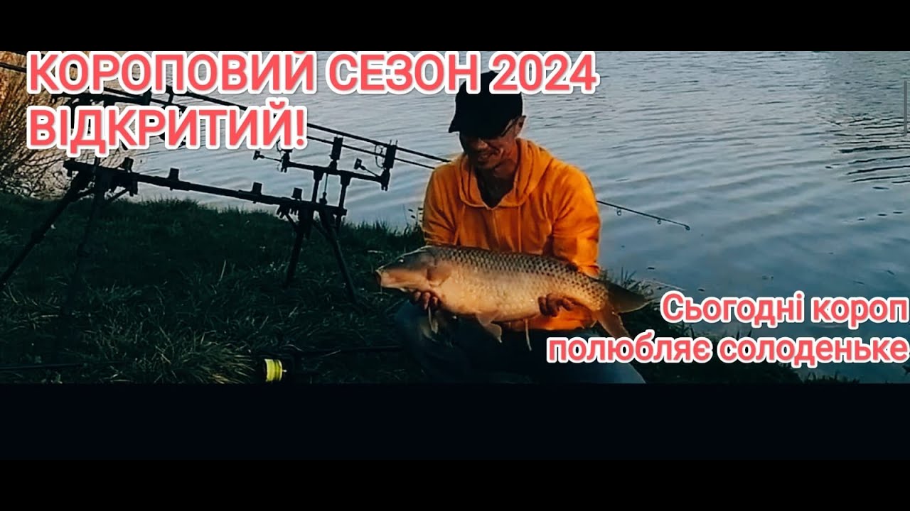 Коропова риболовля на водоймі від клубу Вікінг