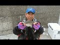 タナゴ釣りシーズン幕開け（2018/05/06） の動画、YouTube動画。