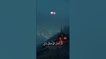 وإذ قال إبراهيم ربي أرني كيف تحي الموتى  تلاوة خاشعة قرآن كريم