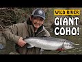 Catching MASSIVE WILD COHO SALMON on Vancouver Island BC Canada | Fishing with Rod