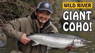 Catching MASSIVE WILD COHO SALMON on Vancouver Island BC Canada | Fishing with Rod
