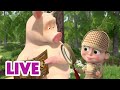 🔴 LIVE! Mascha und der Bär 📚 Schatzkammer der Geschichten 📺 Zeichentrickfilme für Kinder