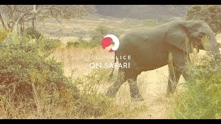 African Safari Holidays | Serengeti | Ngorongoro crater | Follow Alice | Adventure Trips