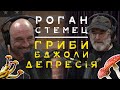 ГРИБИ, ЛІКУВАННЯ ДЕПРЕСІЇ, ТРІП ПІД МУХОМОРОМ - Пол Стемец, Випуск №1385 / Подкаст Джо Рогана