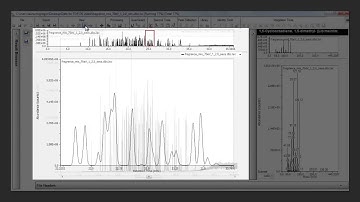 TOF-DS: Video 3 – Qualitative analysis