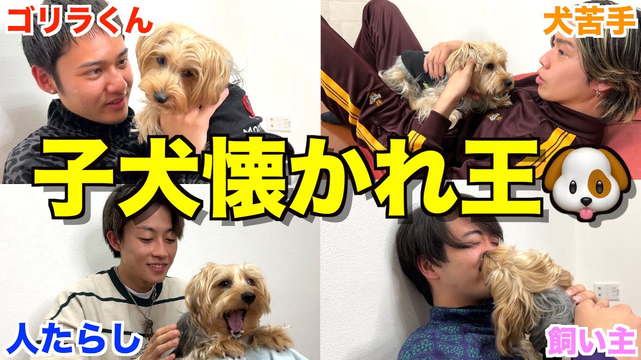 溺愛 一歳のワンちゃんに誰が1番好かれるか選手権したら可愛すぎたwwwww Youtube