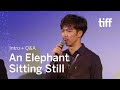 AN ELEPHANT SITTING STILL Actor Q&A | TIFF 2018