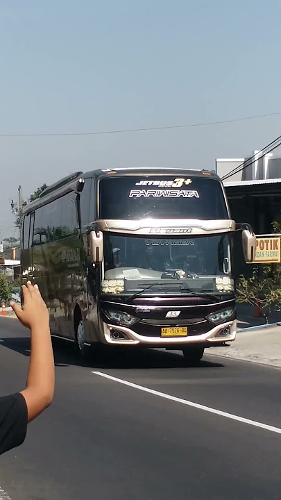 Basuri bus tania