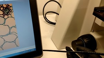 Zeiss Axioskop 2 Microscope Brightfield Phase Contrast Unit2 [BOSTONIND] - 13716