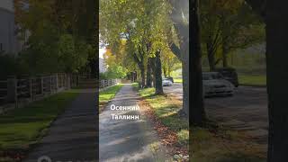 #осенняяпора  #осенниеобразы  #эстониярусские  #эстония  #эстониявлог  #таллинвлог  #жизньвэстонии