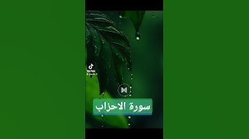 سورة الاحزاب #quran #اكسبلور #دويتو #تيك_توك #دعاء #ترند #دعاءمستجاب #صباحالخير #لايك #صباح_الخير
