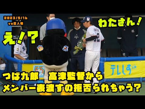 つば九郎 高津監督からメンバー表渡すの拒否られちゃう? 2023/5/16 vs巨人