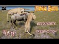 Primal earth dcouverte prsentation dun nouveau jeu de survie animal 2024