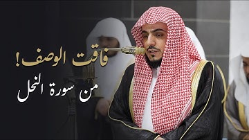 قبس خاشع من سورة النحل للشيخ د.الوليد الشمسان | تروايح ليلة 19-9-1446هـ