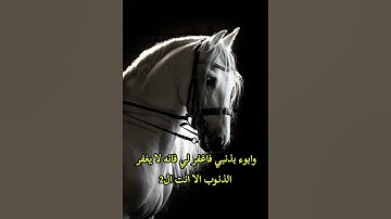 أقوى 3 أذكار تغفر الذنوب مهما كثرت – فرصة لا تعوّض!