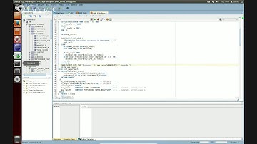 Oracle Developer 2 day guide