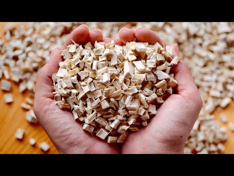 5 Incredible Health Benefits Of Marshmallow Root | Healthy Herbs