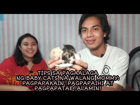 Video: Paano Mag-bahay Ng Mga Kuting