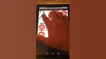 Create: Programing Performance Task 2