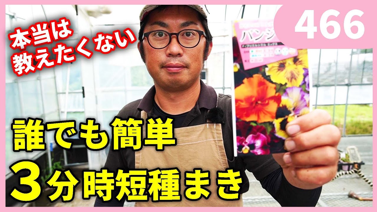 【プロ直伝】パンジービオラの簡単な時短種まき by 園芸チャンネル 466 園芸 ガーデニング 初心者
