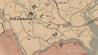 Red Dead Redemption 2 | where are the f**king rabbits????? 3 star Rabbit.
