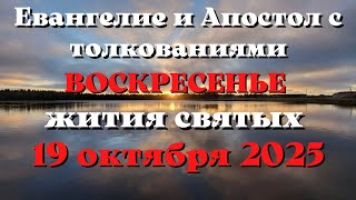 Евангелие дня 19 ОКТЯБРЯ 2025 с толкованием.  Апостол дня.  Жития Святых.