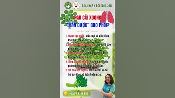 Rau Cải Xoong – “Thần Dược” Tự Nhiên Cho Phổi & Sức Khỏe Toàn Diện | DINH DƯỠNG 24H
