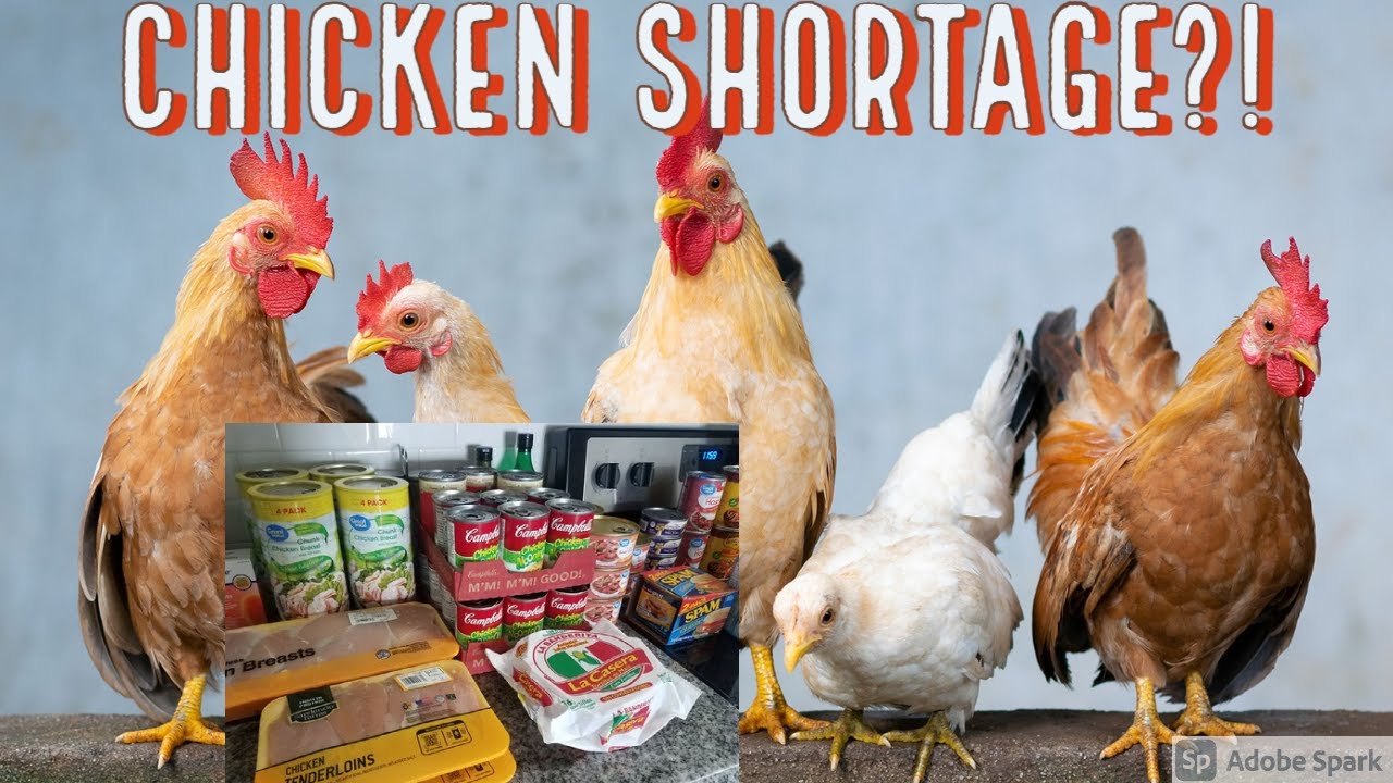 Chicken Shortage?! Get it While You Can Prepper Pantry Haul YouTube