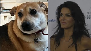 Angie Harmon Says Instacart Driver Fatally Shot Her Dog