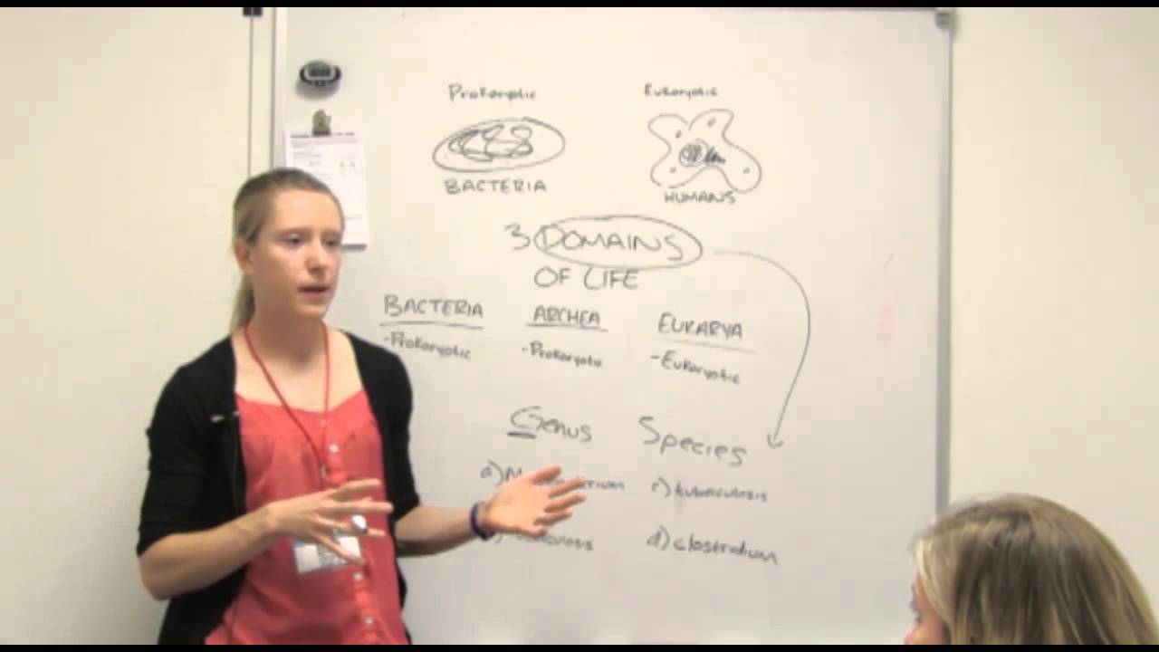 Bacterial Nomenclature Genus and Species