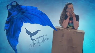 Mertailor Fantasea Fin Three Monofin Unboxing - Midnight Abyss