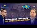 Как увеличить урожайность зерновых в Казахстане? | Савин