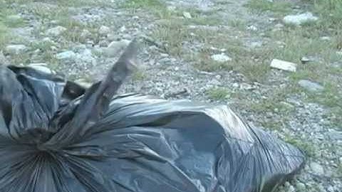 Illegal Dumping: Trash Documentary