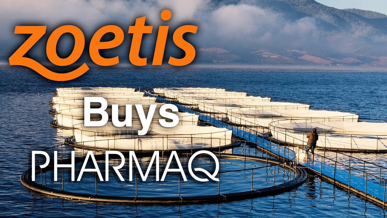 Pharmaq’s Sale to Zoetis to Generate a 3.2 Times Return on Invested Capital for Permira