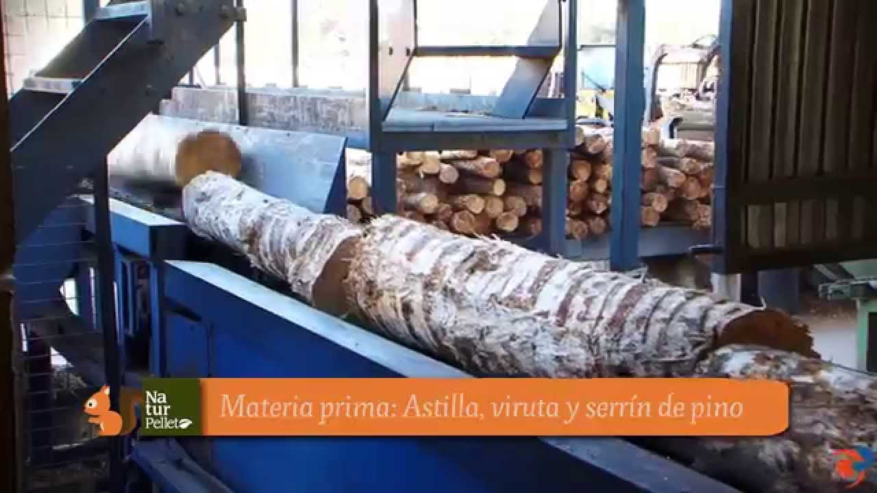 Biomasa: Proceso fabricación del pellet a partir la madera pino - YouTube