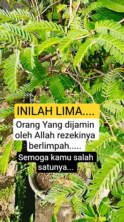 There are five people who are guaranteed abundant sustenance #janganlupasubscribe