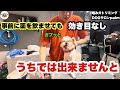 【初来店】長年行ってたサロンから来ないでくださいとお達しを受けたシーズー