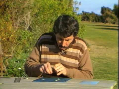 Eyes Playing Tricks - Eyes Playing Tricks