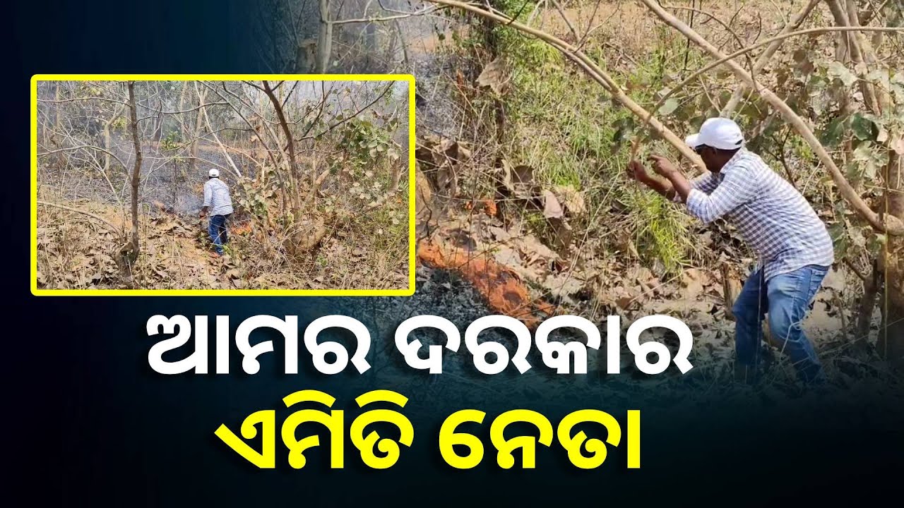 ପୁଞ୍ଜିପଥର ଜଙ୍ଗଲରେ ଲାଗିଥିଲା ନିଆଁ, ଆୟତ୍ତ କଲେ ସମିତି ସଭ୍ୟ || Knews Odisha