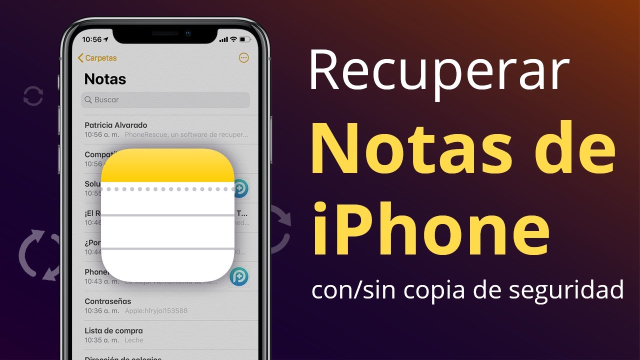 Recuperar notas borradas