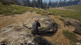 Deadside bot bug