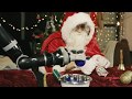 Robotic Christmas Lab 2018