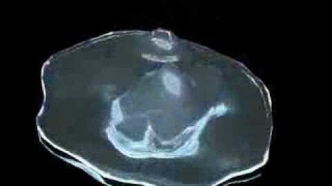 my first animation in c4d