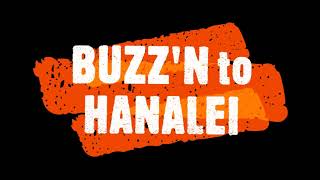 WE'DBEE BUZZ'N HANALEI